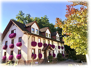 Gästehaus auf dem Reiterhof Obere Mühle